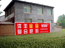 光山如何让墙体广告展现最大化效果